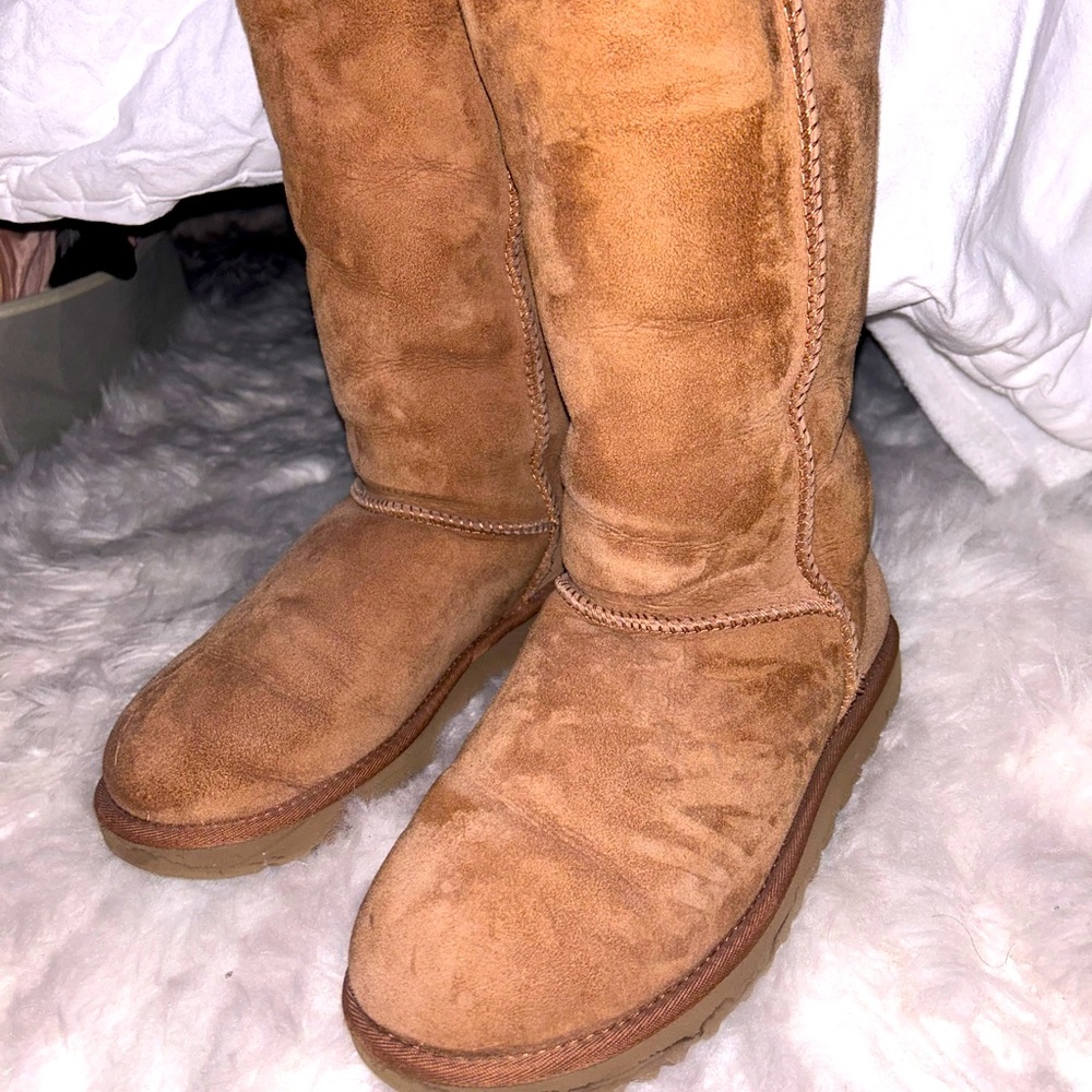 Uggs tall chestnut